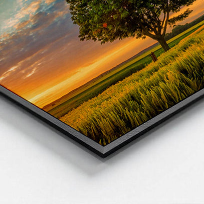 Aluverbundplatten bedrucken | Edle AluDibond-Schilder - Picura GmbH