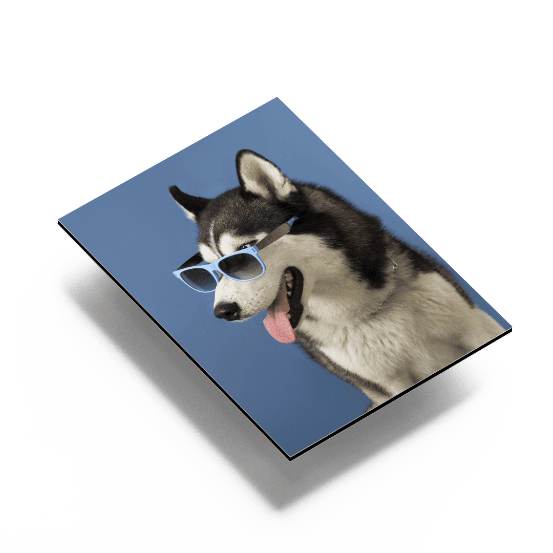 Beispielbild für Schilder & Platten