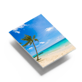 Hartschaumplatten (Forex) bedrucken - Picura GmbH