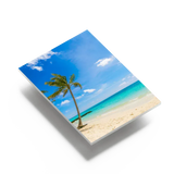 Eine bedruckte Hartschaumplatte mit einem Strandmotiv und einer Palme vor blauem Himmel. Lassen Sie Ihre schönsten Fotos auf Hartschaumplatten bedrucken.