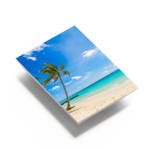 Eine bedruckte Hartschaumplatte mit einem Strandmotiv und einer Palme vor blauem Himmel. Lassen Sie Ihre schönsten Fotos auf Hartschaumplatten bedrucken.