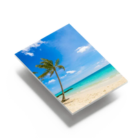 Eine bedruckte Hartschaumplatte mit einem Strandmotiv und einer Palme vor blauem Himmel. Lassen Sie Ihre schönsten Fotos auf Hartschaumplatten bedrucken.