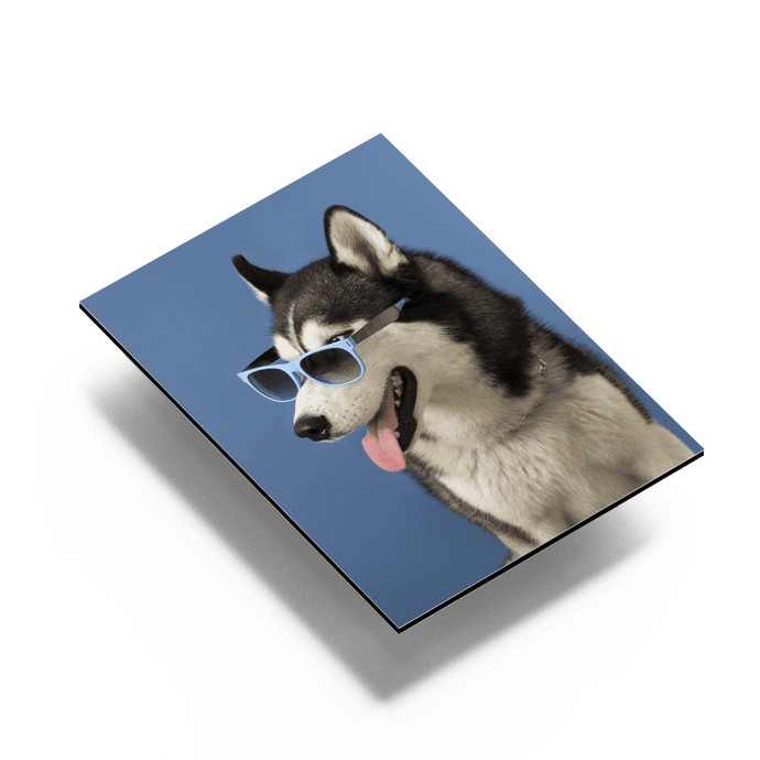 Hochwertiger Alu-Dibond Druck auf stabiler Aluverbundplatte für Innen- und Außenbereiche