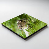 Wetterfeste Aluverbundplatte mit Druck – ideal für Fassaden- und Außenwerbung