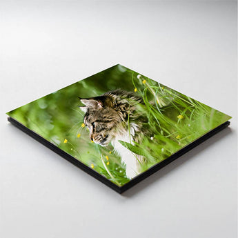 Wetterfeste Aluverbundplatte mit Druck – ideal für Fassaden- und Außenwerbung